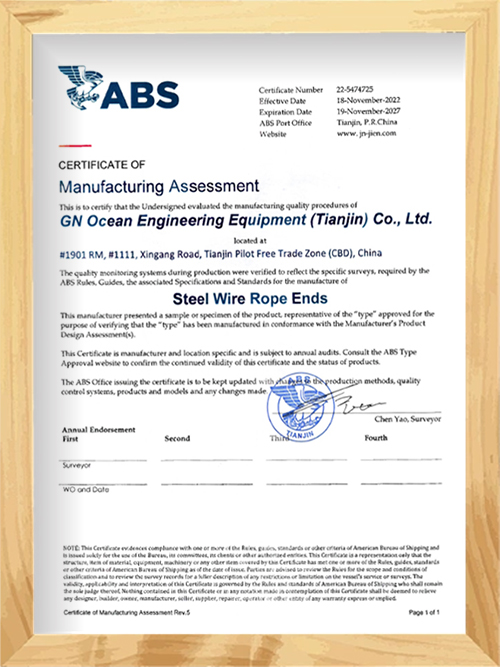 Gene ABS Factory Approval Certificate