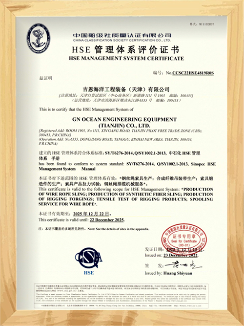 HSE Management System Evaluation Certificate