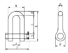 G(S)-2150 American-style forged D-type hook nut shackle
