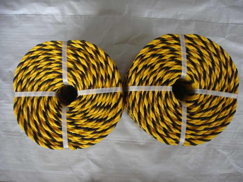 Tiger-striped Rope